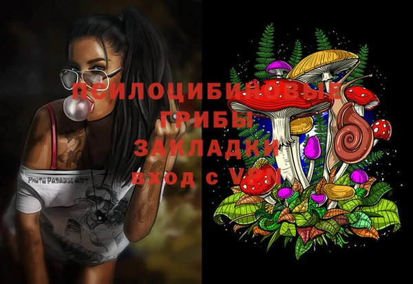 гашиш Вяземский