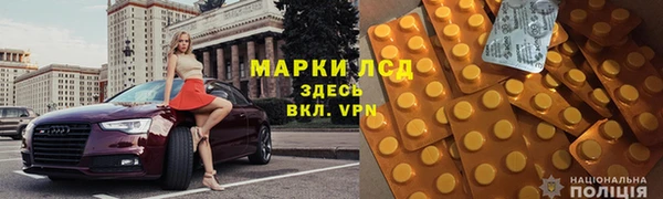 крисы Горняк