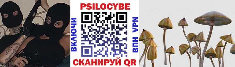 Галлюциногенные грибы Psilocybine cubensis  где купить   Жирновск 
